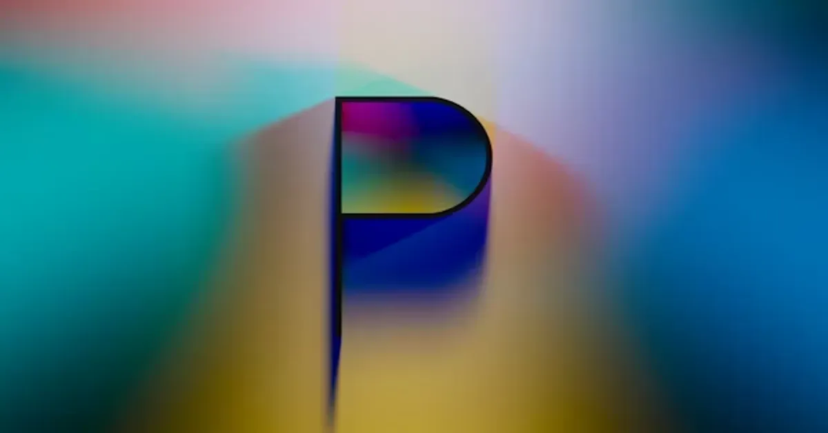 Pasonet