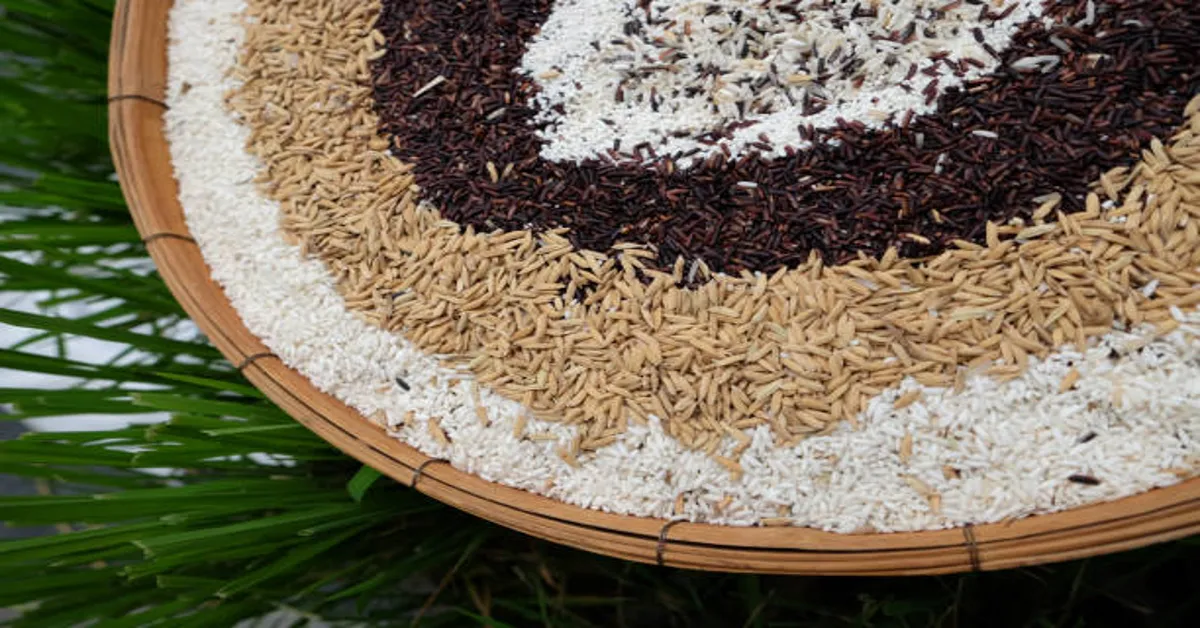 Prince Rice