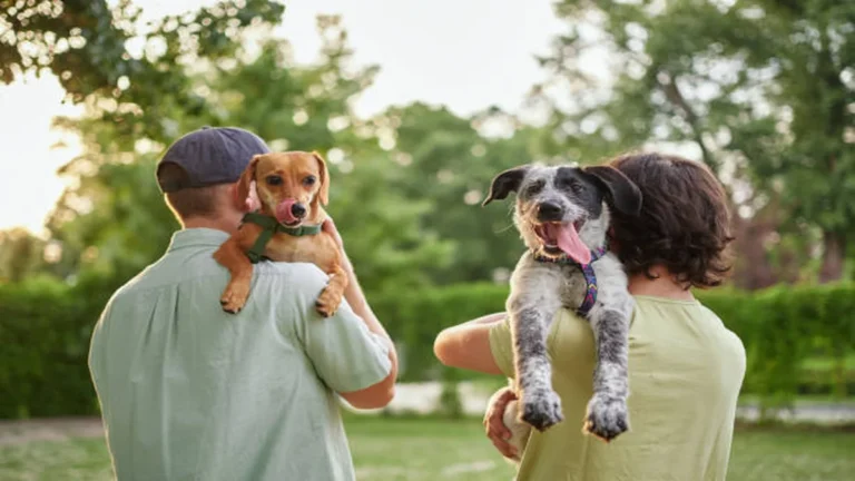 Pet Friendly Nashville Guide: Hotels, Restaurants, Dog Parks