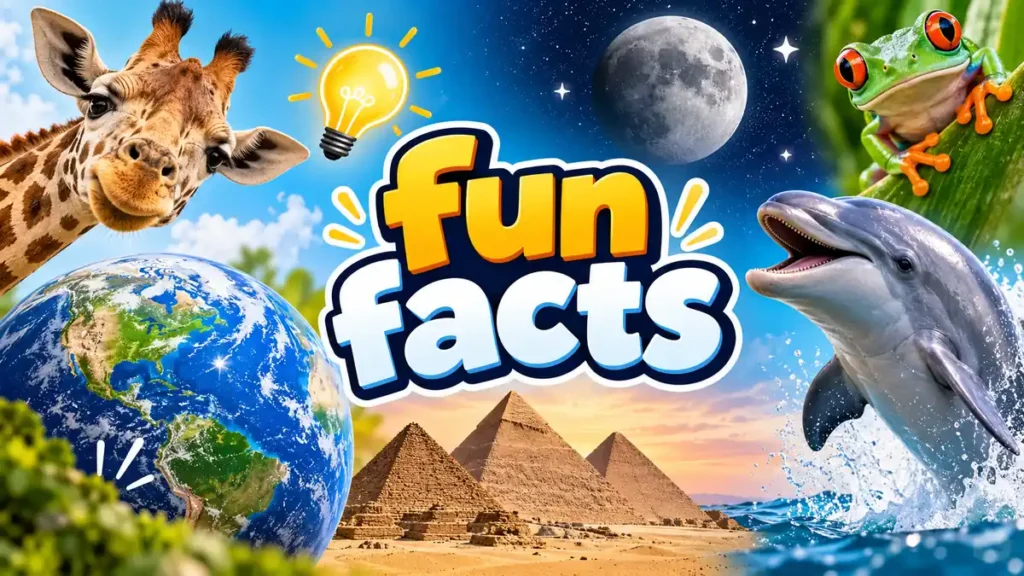fun facts: 75 Amazing Facts That Will Surprise You
