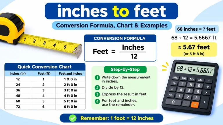 inches to feet: Conversion Formula, Chart & Examples
